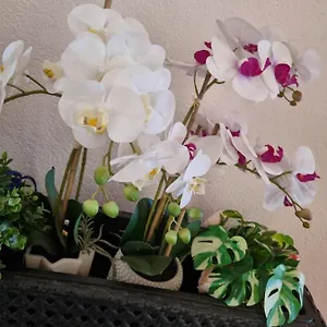  Appartamento Orchidea